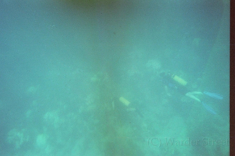 Taylor Scuba Diving 10.jpg